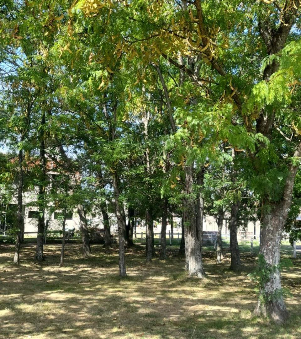 Foto de Terreno en General Rodriguez, imagen 3