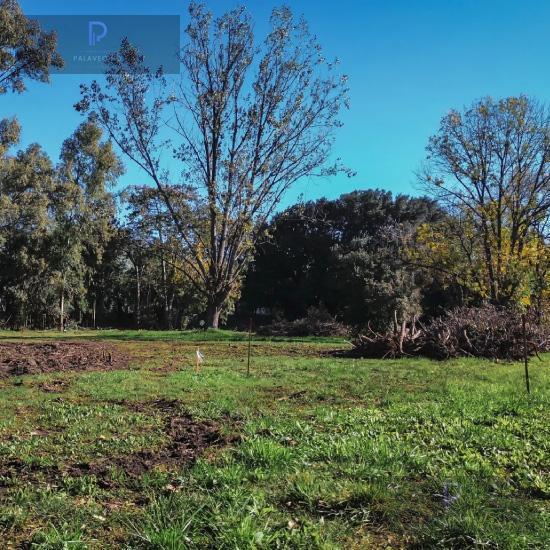 Foto de VENTA LOTE B° CERRADO LOS PINOS III, YEI PORA, JOSÉ C. PAZ, imagen 3