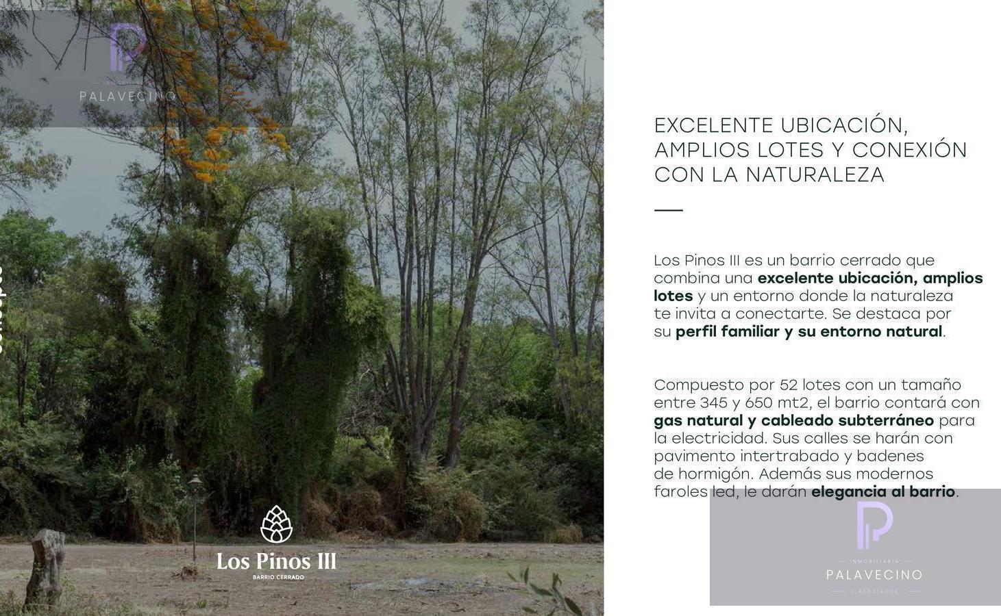 Foto de VENTA LOTE B° CERRADO LOS PINOS III, YEI PORA, JOSÉ C. PAZ, imagen 1