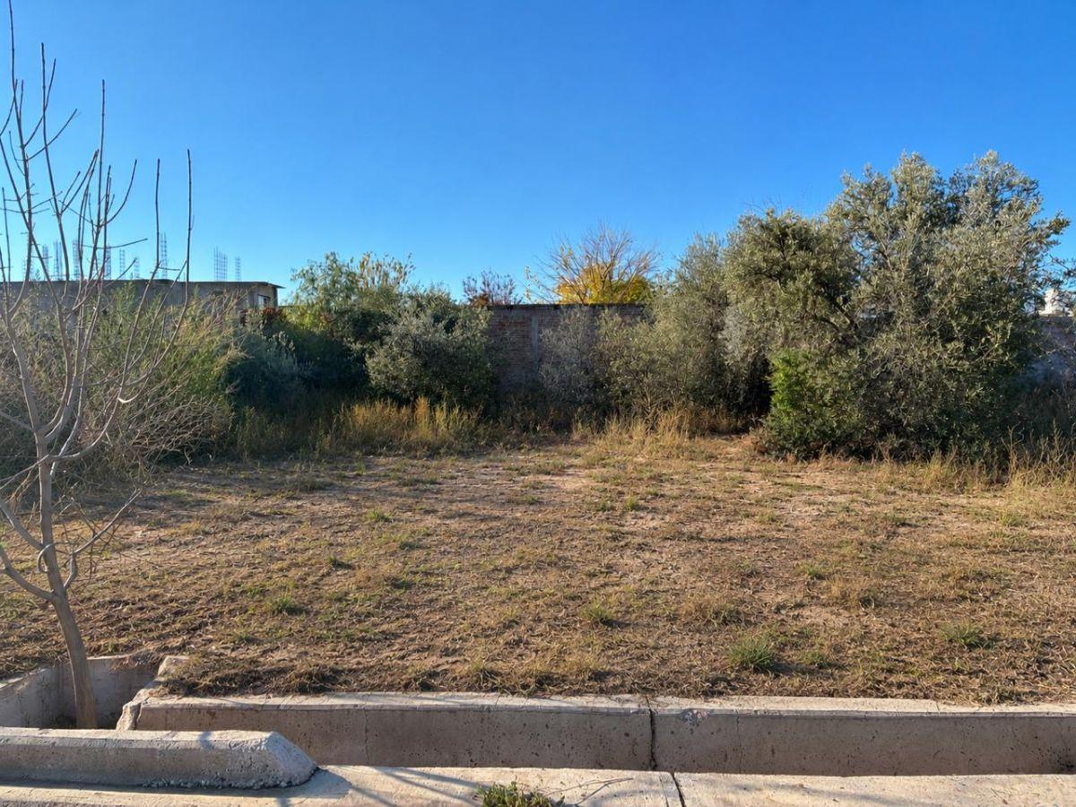 Venta de Lote. Barrio Privado. Gran Vistalba.
