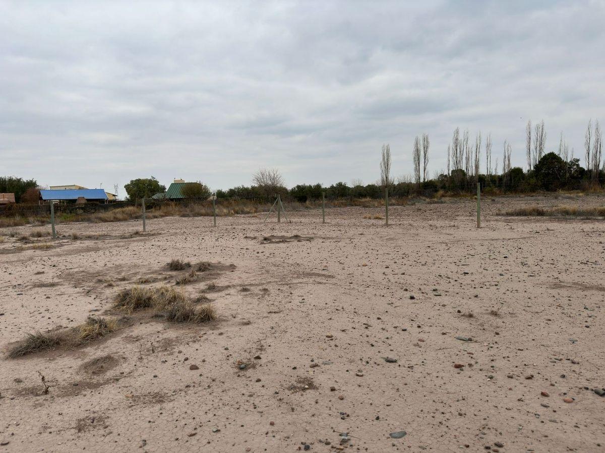 Foto de Venta de Lote en Coquimbito, Maipú. Mendoza., imagen 5