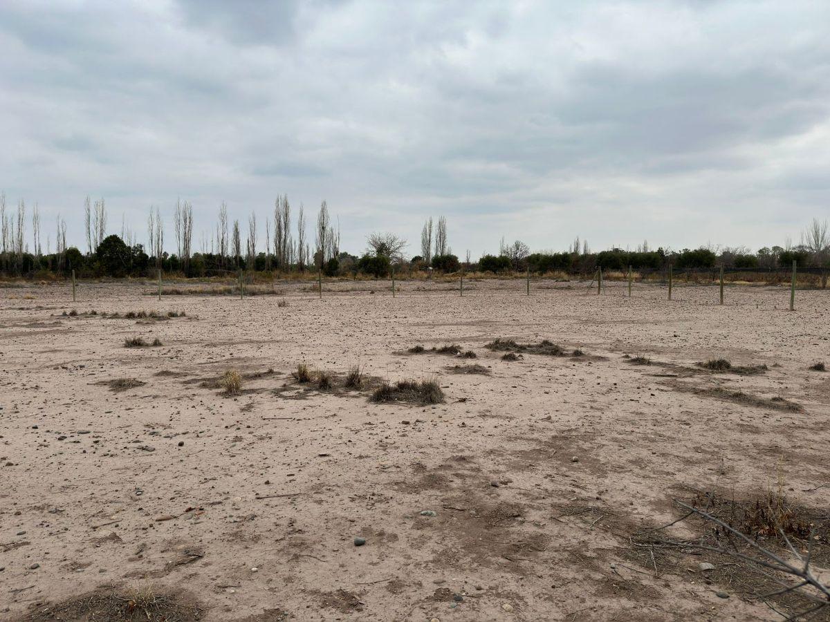 Foto de Venta de Lote en Coquimbito, Maipú. Mendoza., imagen 3