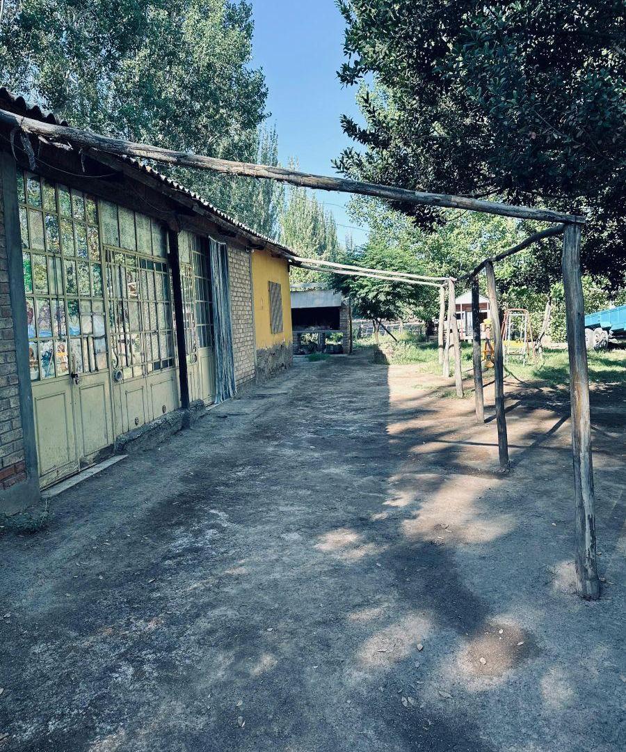Foto de Venta de Finca. Villa Tulumaya. Lavalle. Mendoza., imagen 4
