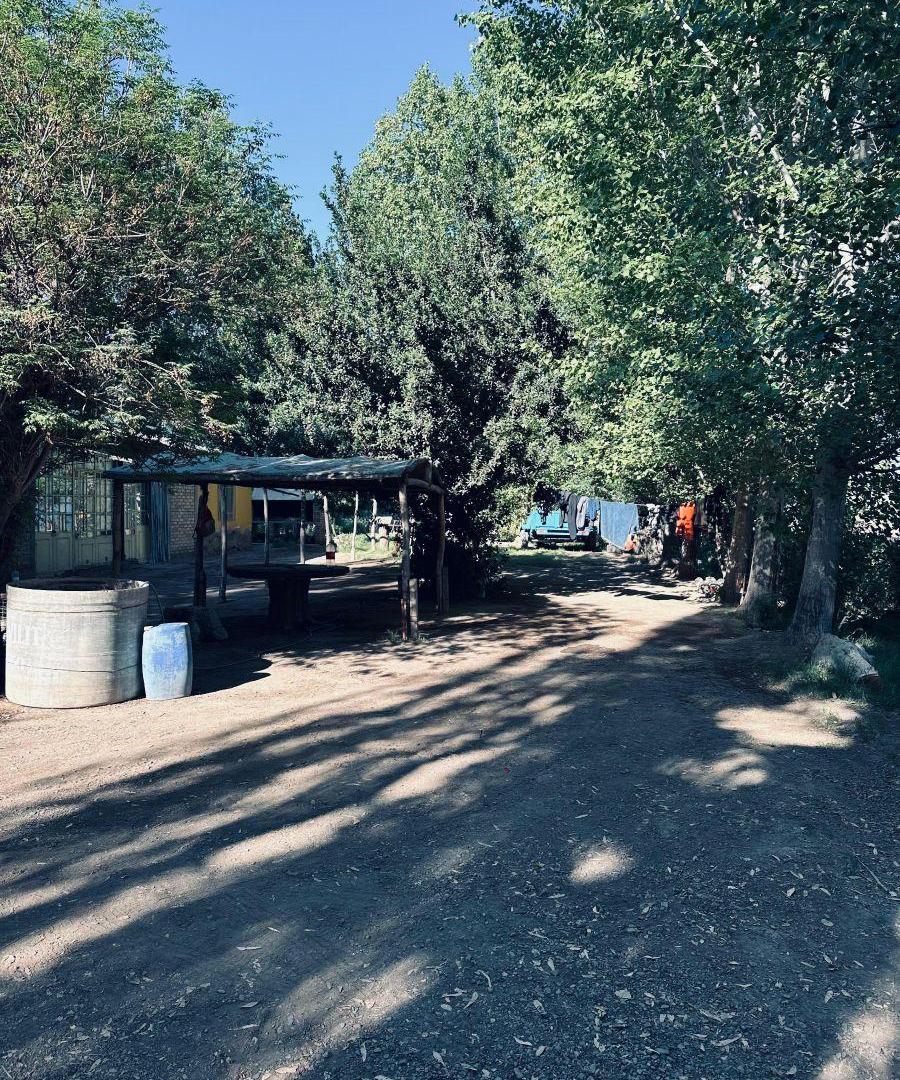 Foto de Venta de Finca. Villa Tulumaya. Lavalle. Mendoza., imagen 5