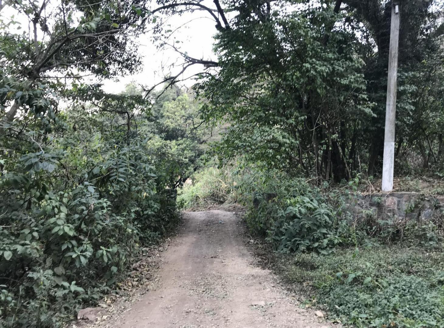 Foto de Terreno en Ruta Provincial 338, imagen 2