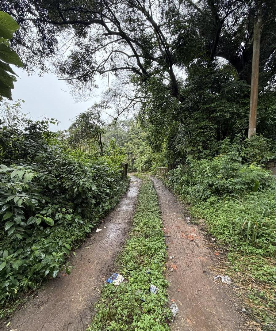 Foto de Terreno en Ruta Provincial 338, imagen 1