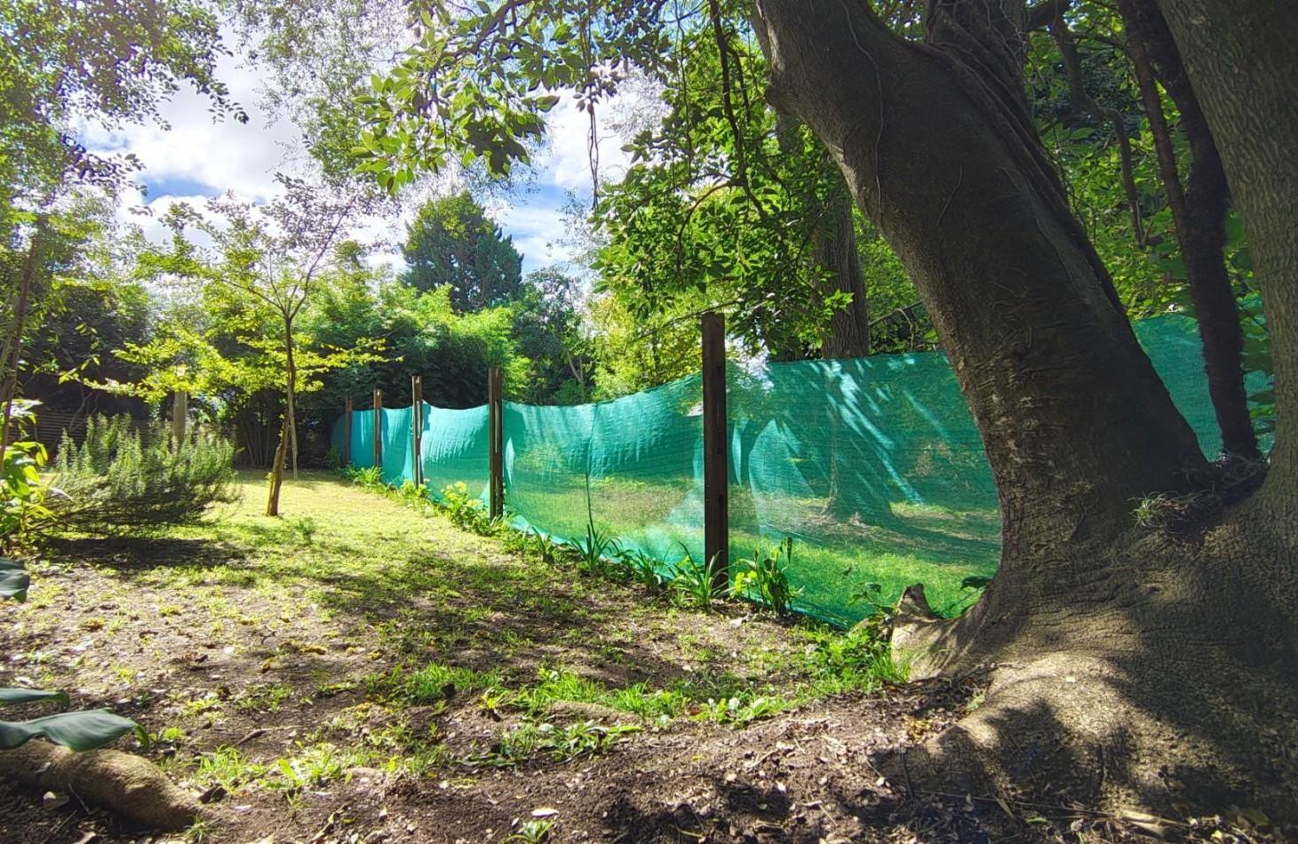Foto de Casa 3 ambientes con cochera doble y gran parque, imagen 3