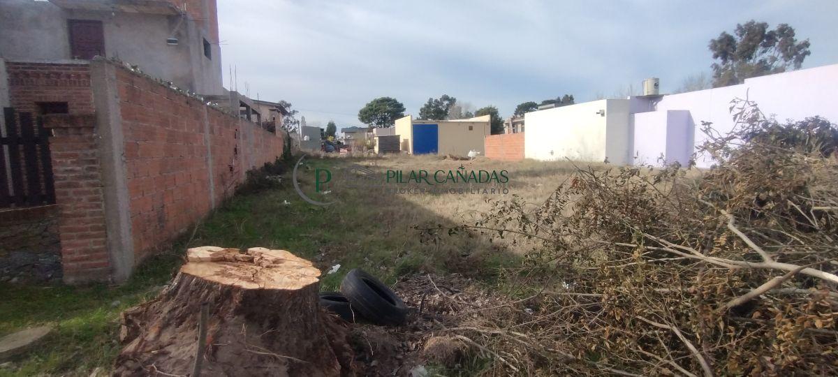 Foto de Lote de terreno comercial-vivienda con posible financiación, zona, imagen 1