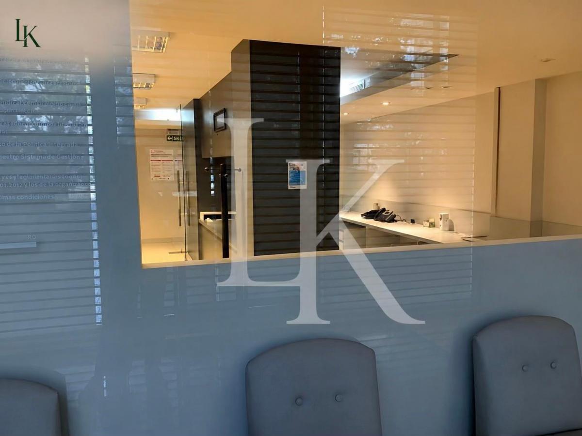 Foto de Local / Oficina / Depósito 350 m² sobre Av. Córdoba – 3 Plantas, imagen 4