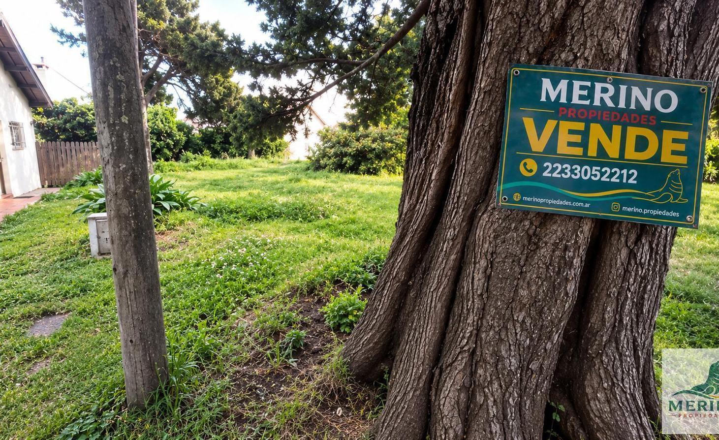 Foto de Terreno en Constitución, imagen 4