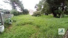 Foto de Terreno en Constitución, imagen 3