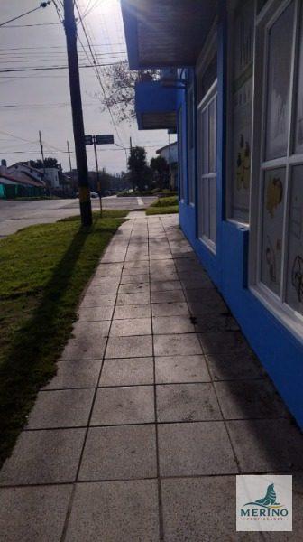 Foto de Departamento en Mar Del Plata, imagen 5