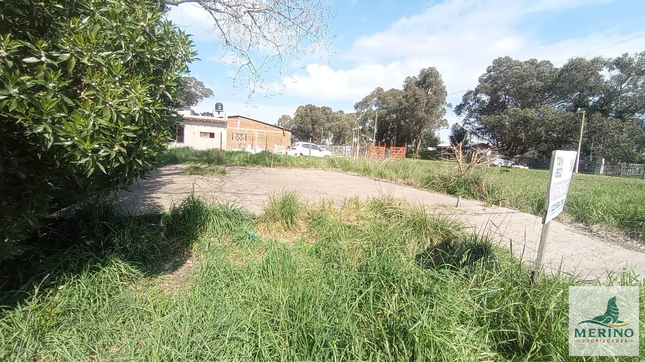 Foto de Terreno en Mar Del Plata, imagen 2