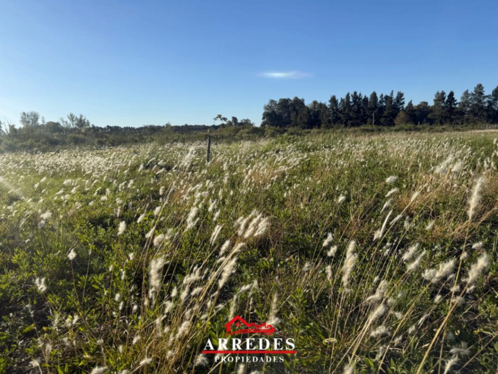Foto de Venta · Lote con vista al campo · 2000m2 · Praderas de Cardales, imagen 5