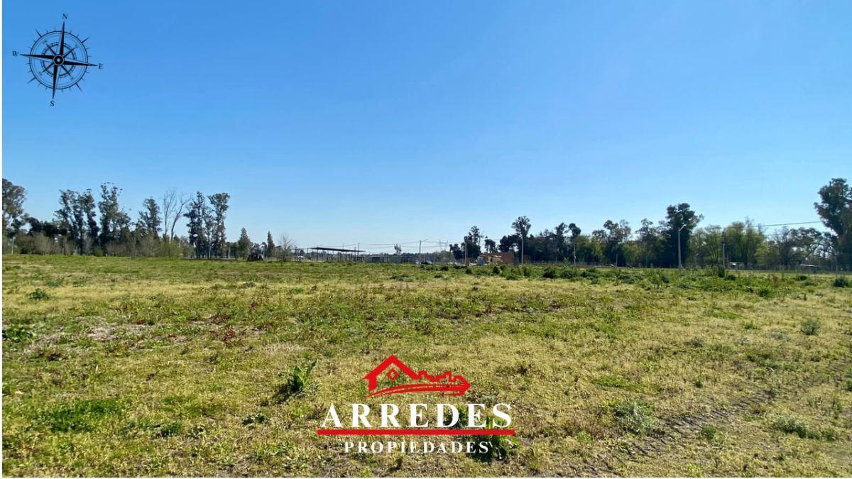 Foto de Venta · Lote 1571.03m2 · Parque robles II · Parada Robles, imagen 5
