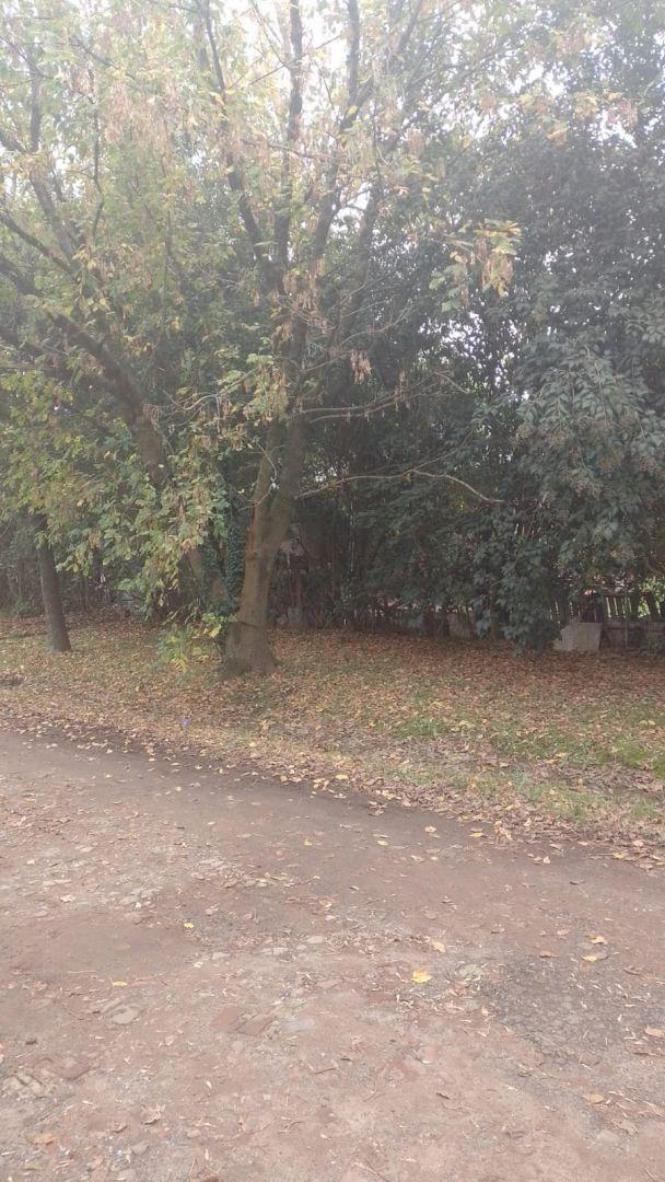 Foto de Lote . | De los Recuerdos al 4200, imagen 4