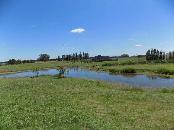 Foto de VENTA LOTE DE 2000M2 EL ESPINILLO GOLF, imagen 4