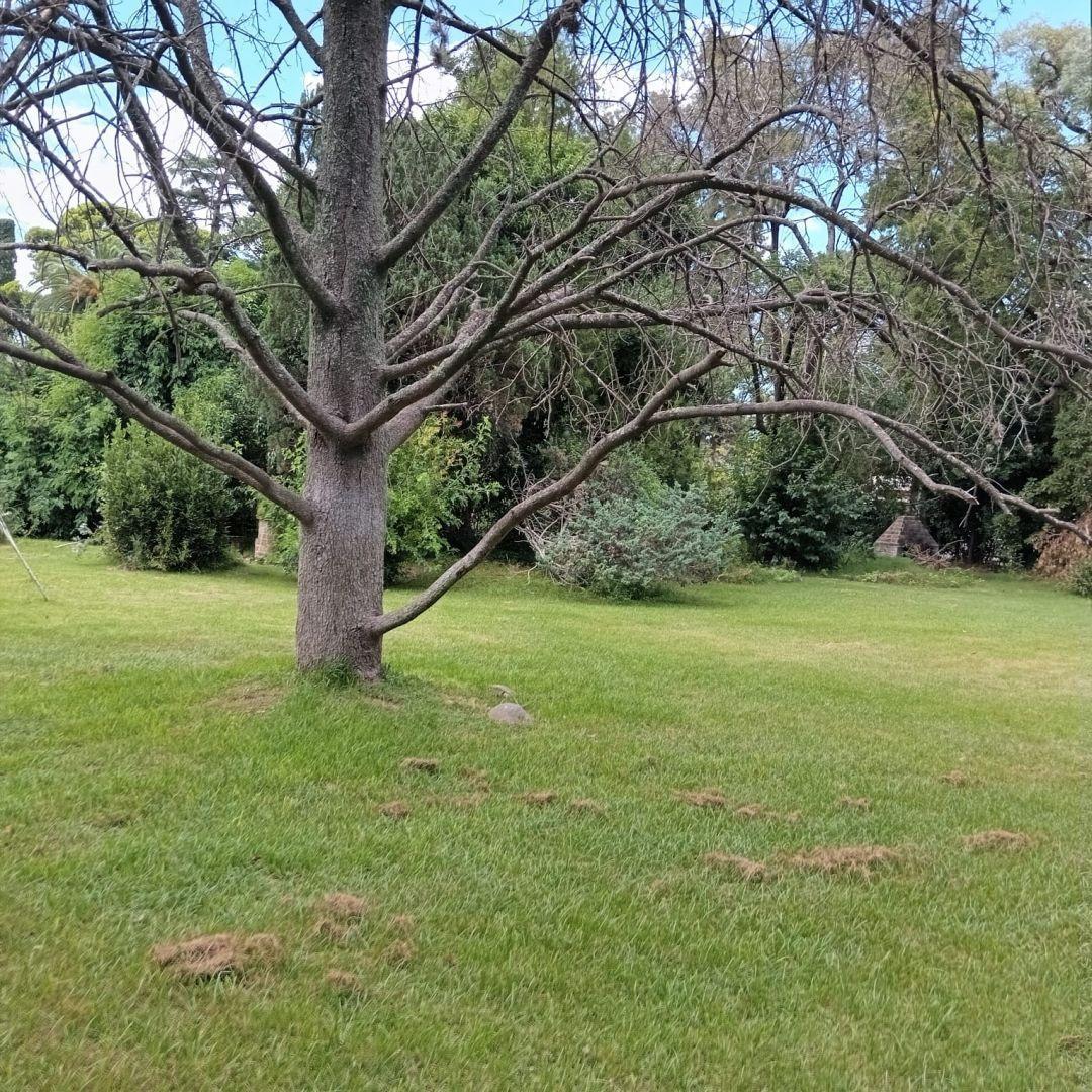 Foto de VENTA DE LOTE 400m2 PARQUE LELOIR, imagen 5