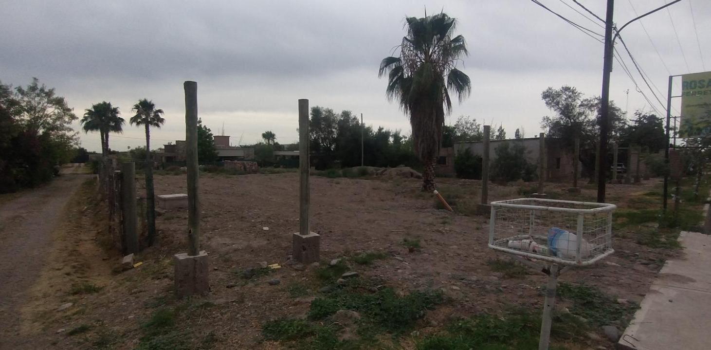Foto de PEDRO GOYENA, imagen 5