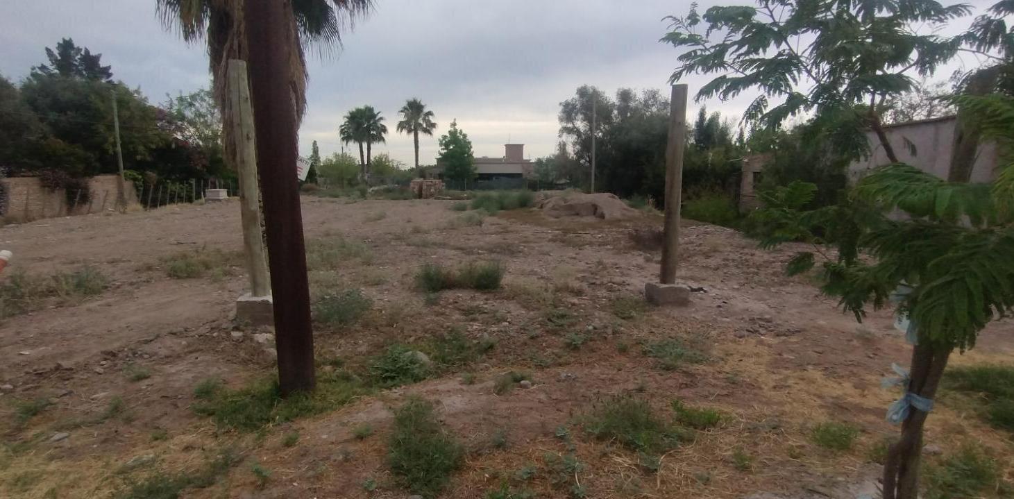 Foto de PEDRO GOYENA, imagen 2