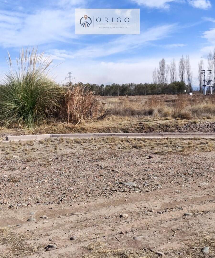 Foto de ORIGO NEGOCIOS INMOBILIARIOS VENDE LOTE EN BARRIO CARRASCAL DE, imagen 2