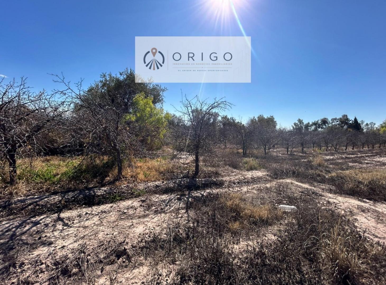 Foto de ORIGO NEGOCIOS INMOBILIARIOS VENDE TERRENO EN MAIPU IDEAL PARA, imagen 1