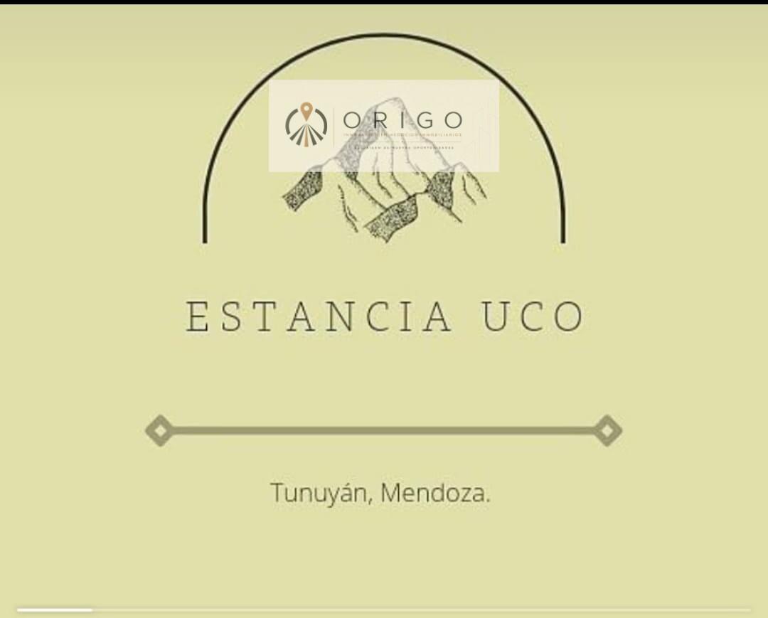 Foto de ORIGO NEGOCIOS INMOBILIARIOS VENDE TERRENO EN ESTANCIA UCO. TUNUYAN, imagen 4