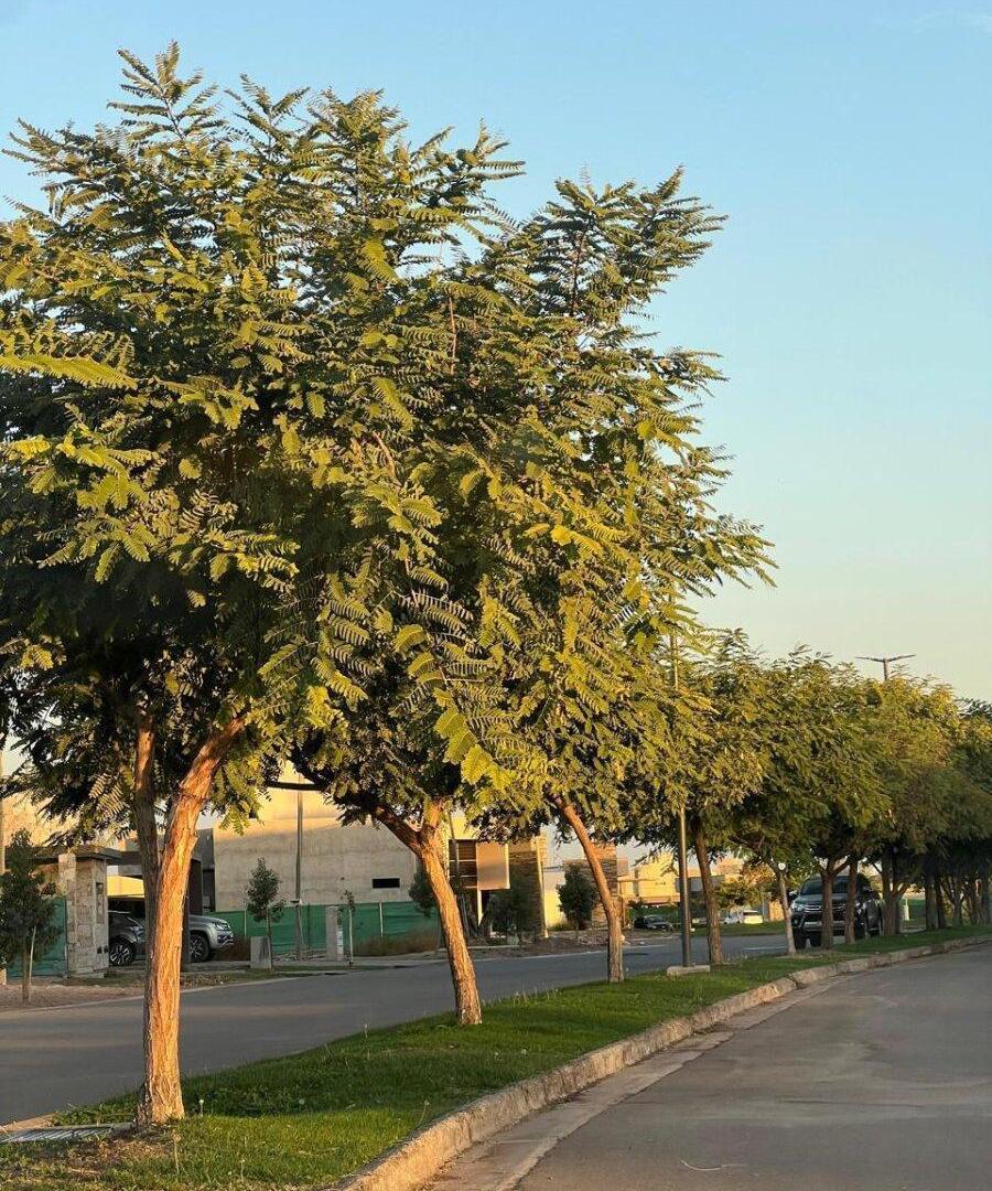 Foto de ORIGO NEGOCIOS INMOBILIARIOS VENDE TERRENO EN BARRIO PRIVADO LAS, imagen 3