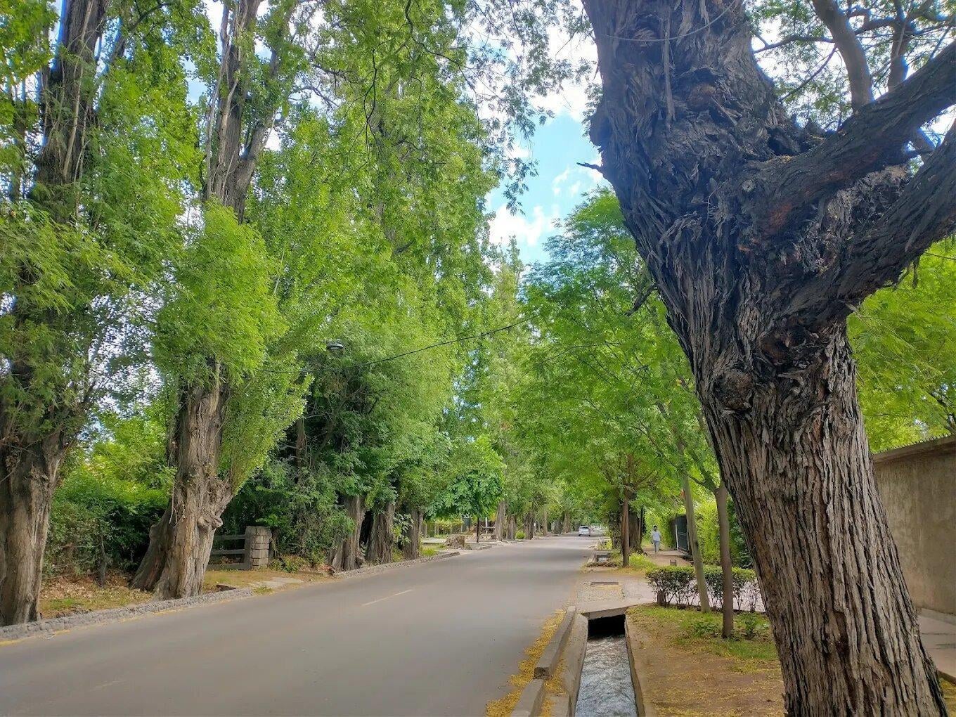 Foto de ORIGO NEGOCIOS INMOBILIARIOS VENDE LOTE ., imagen 1