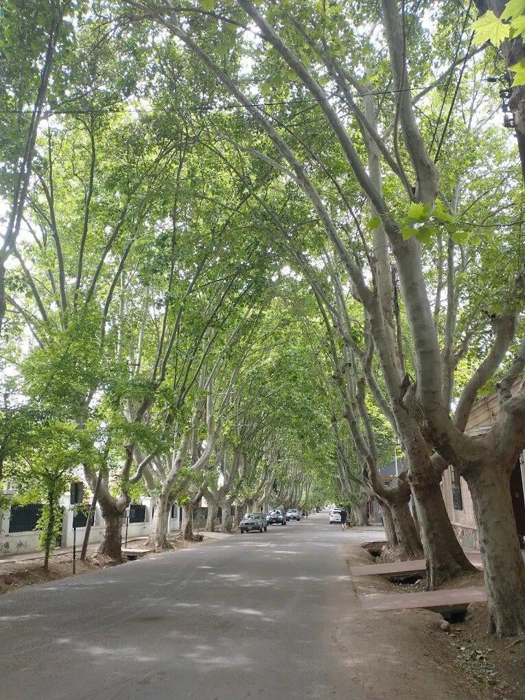 Foto de ORIGO NEGOCIOS INMOBILIARIOS VENDE LOTE ., imagen 2