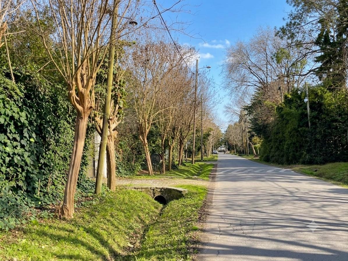 Foto de Terreno en VENTA en Maquinista F Savio, Maschwitz, imagen 4
