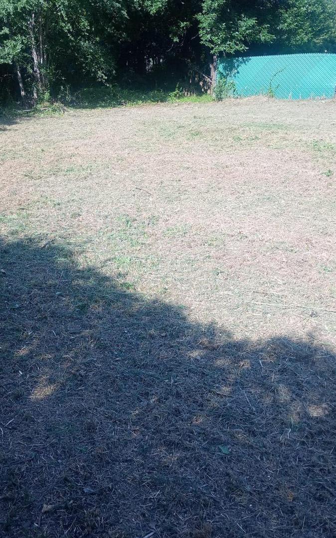 Foto de Terreno en Villa La Bolsa, imagen 1