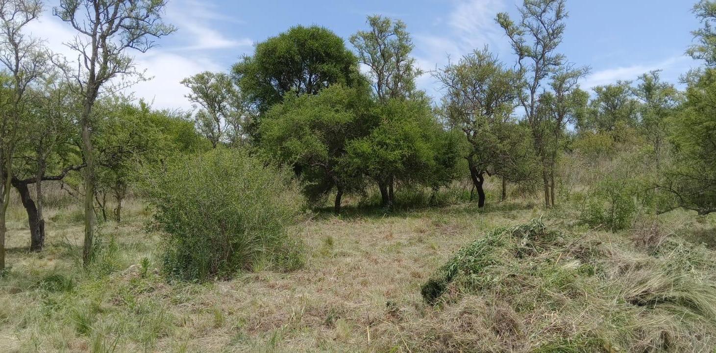 Foto de Terreno en Alta Gracia, imagen 2