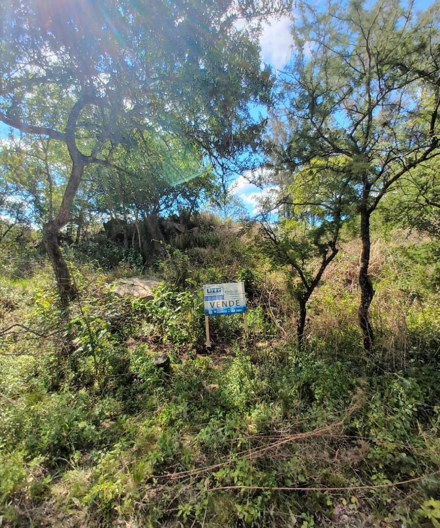 Foto de Terreno en Jose De La Quintana, imagen 2