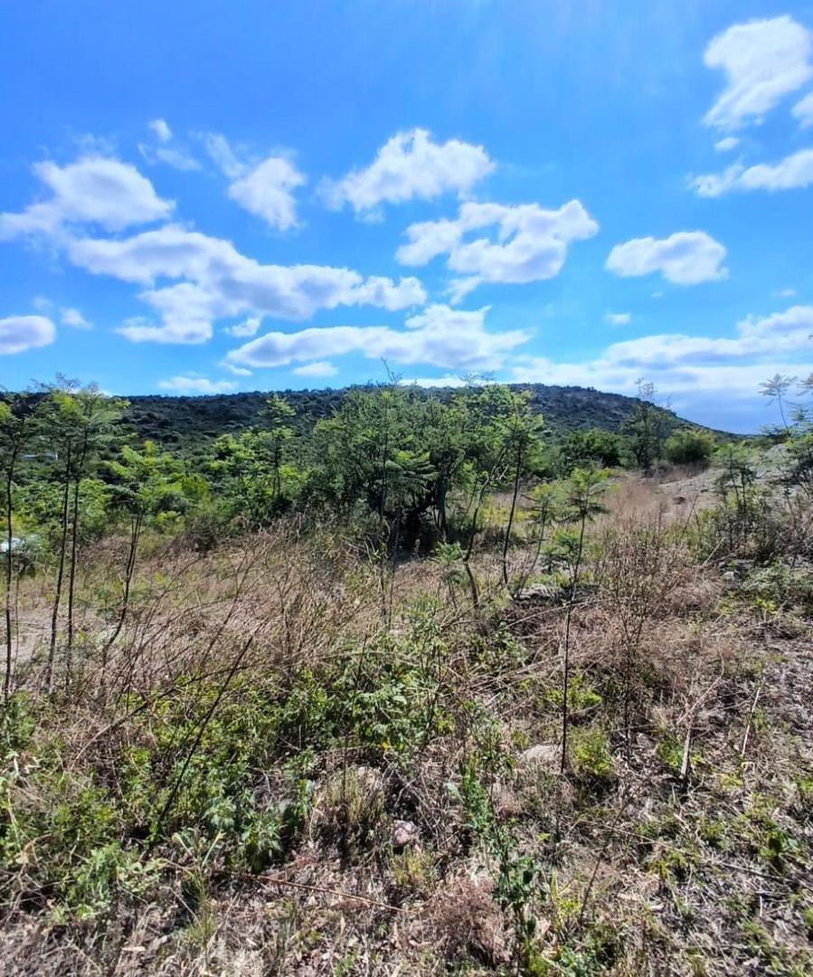 Foto de Terreno en Jose De La Quintana, imagen 3