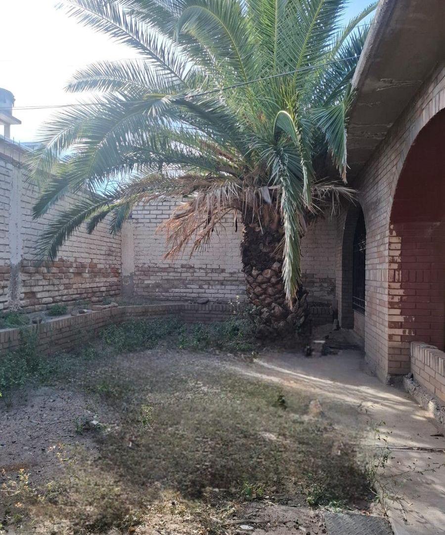 Foto de VENDEMOS Laguna Llancanelo, metros Palmares., imagen 2