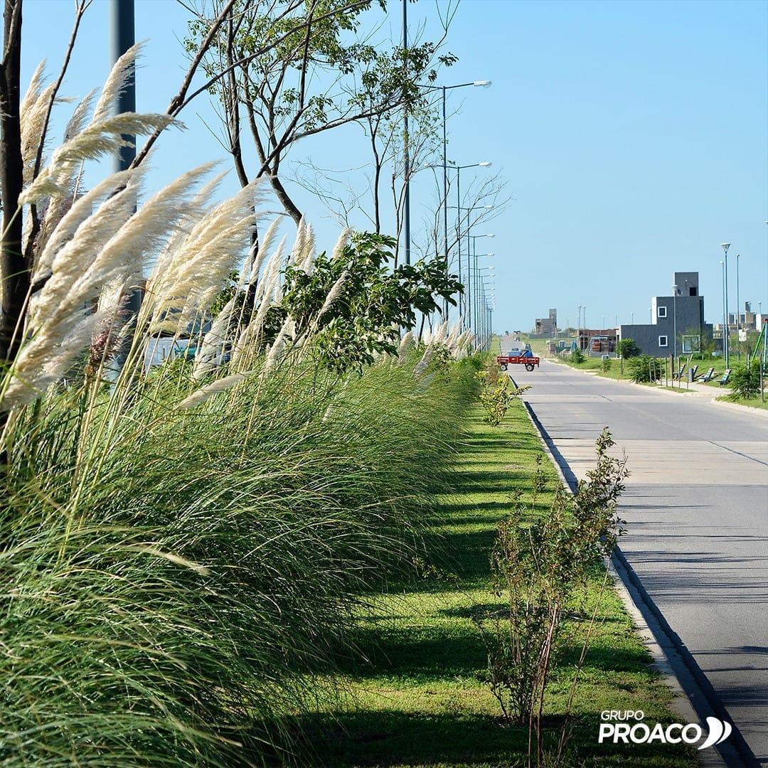 Foto de Lote en Docta Central 2 – 250 m² – Apto Crédito – Posesión 2029, imagen 2