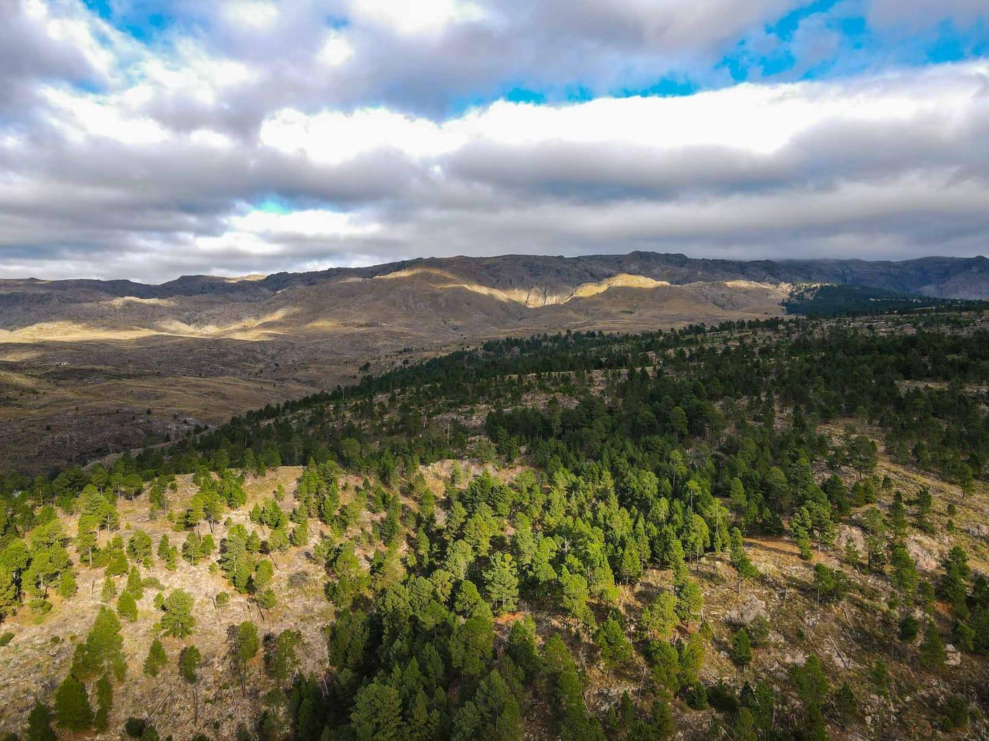 Foto de VENTA LOTES COPINA EN SIERRAS DE CÓRDOBA, imagen 3