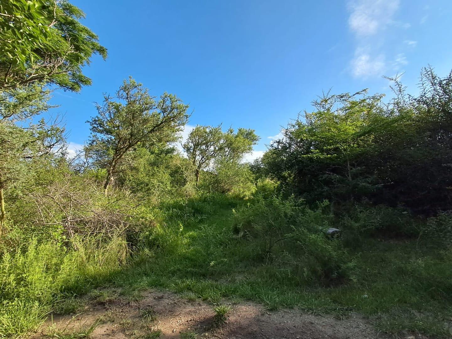 Foto de LOTES 1050M2 CASA GRANDE PUNILLA CON ESCRITURA, imagen 2
