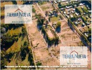 Foto de TERRENO EN PLOTTIER, imagen 5
