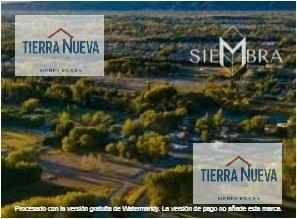Foto de TERRENO EN PLOTTIER, imagen 3