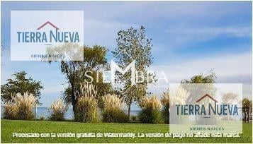 Foto de Terreno en Mari Menuco, imagen 5
