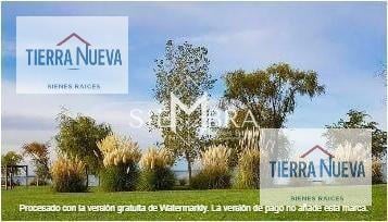 Foto de Terreno en Mari Menuco, imagen 2