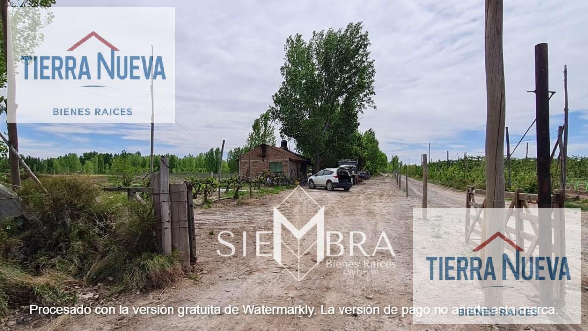 Foto de Terreno en San Patricio Del Chañar, imagen 2