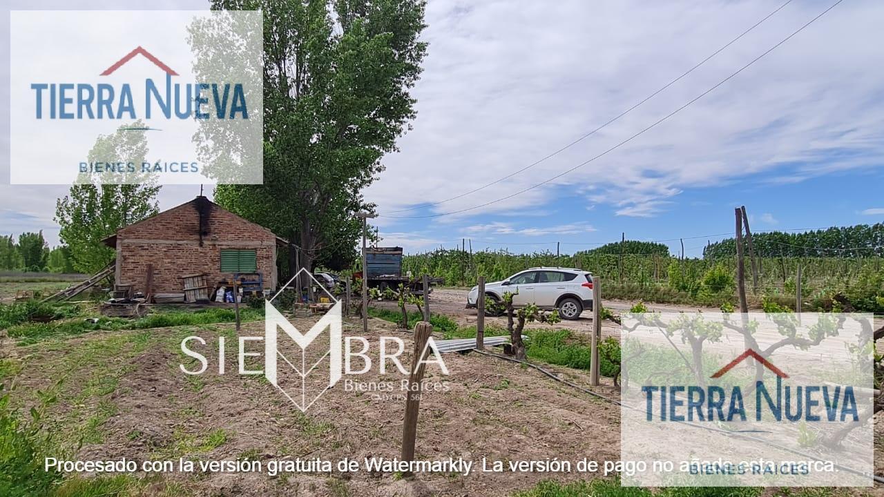 Foto de Terreno en San Patricio Del Chañar, imagen 1