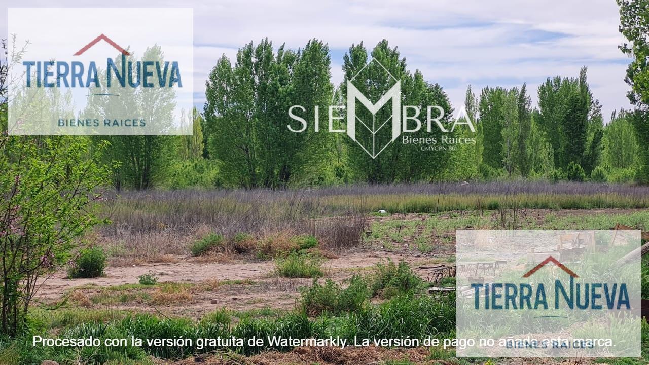 Foto de Terreno en San Patricio Del Chañar, imagen 5