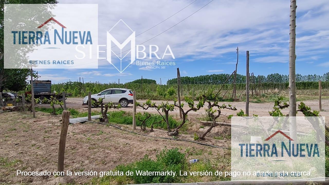 Foto de Terreno en San Patricio Del Chañar, imagen 4