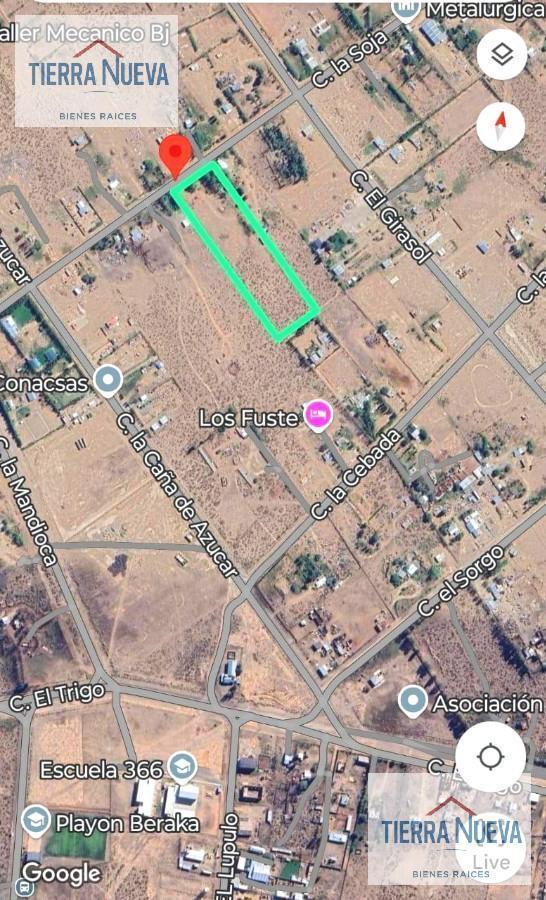 Foto de Meseta norte de Neuquén Capital, imagen 2