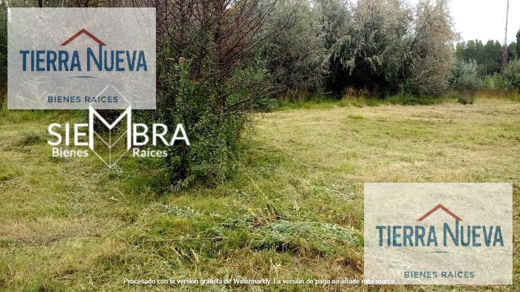 Foto de Terreno en Cipolletti, imagen 1