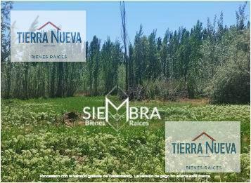Foto de Terreno en Cipolletti, imagen 5